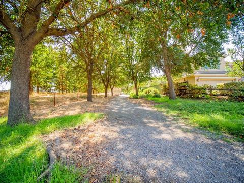5721 Hoag Pl, Davis, CA 95618 photo 7