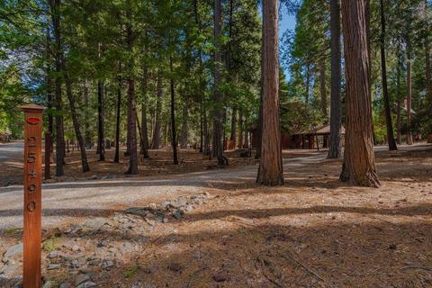 25490 Overland Dr, Volcano, CA 95689 photo 54