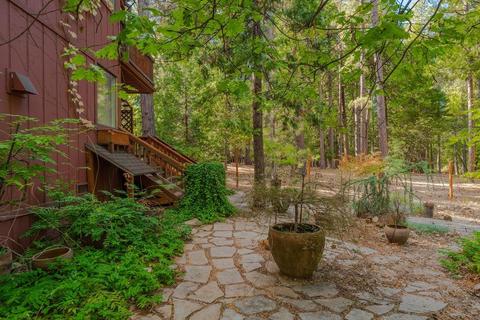 25490 Overland Dr, Volcano, CA 95689 photo 4
