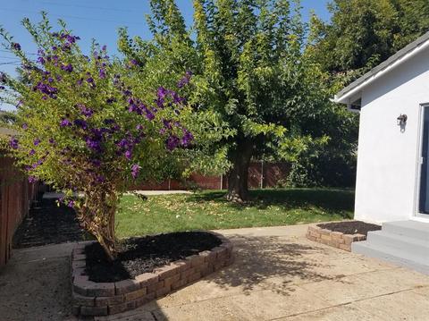 324 Palin Ave, Galt, CA 95632 photo 18