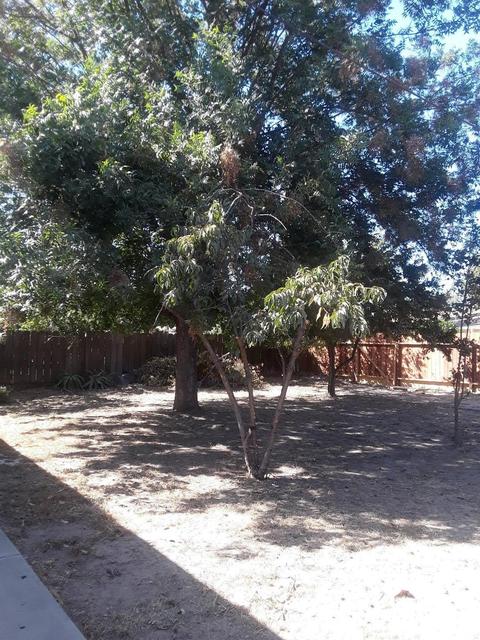 1621 Tonilane, Modesto, CA 95351 photo 12