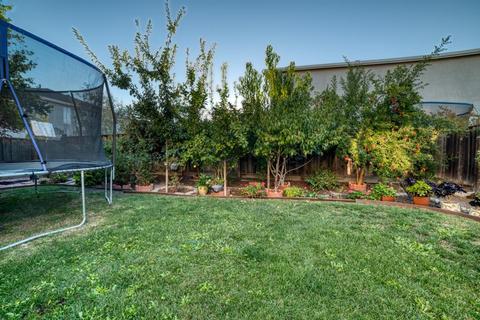 1041 Saffron Dr, Tracy, CA 95377 photo 9