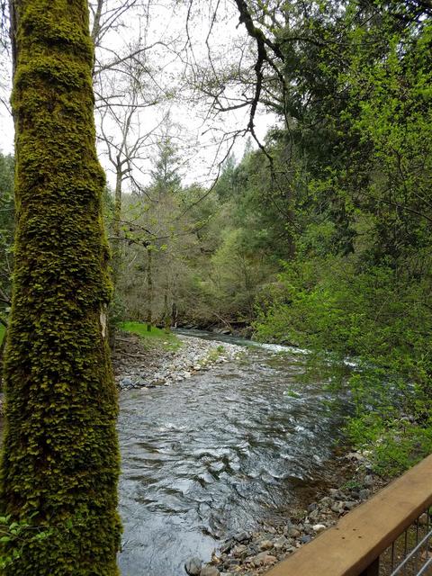 16778 Sutter Creek Rd, Sutter Creek, CA 95685 photo 36