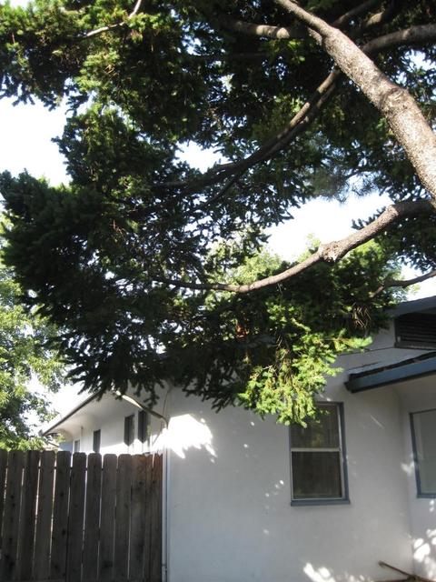 515 S Central Ave, Lodi, CA 95240 photo 9
