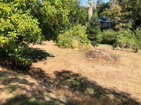 153 Badger, Sutter Creek, CA 95685 photo 17