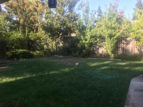 733 Parkston Ct, Modesto, CA 95357 photo 18