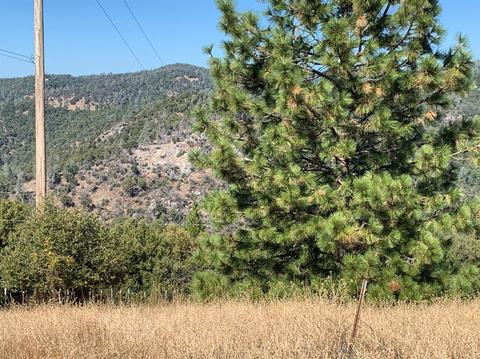 4220 Agape Ln, Placerville, CA 95667 photo 2