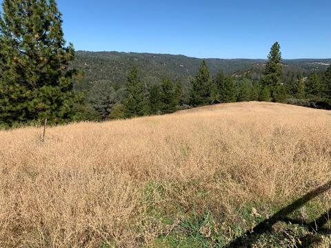 4220 Agape Ln, Placerville, CA 95667 photo 3
