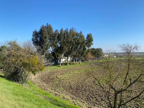 15687 Isleton Rd, Isleton, CA 95641 photo 44