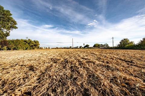 15687 Isleton Rd, Isleton, CA 95641 photo 39