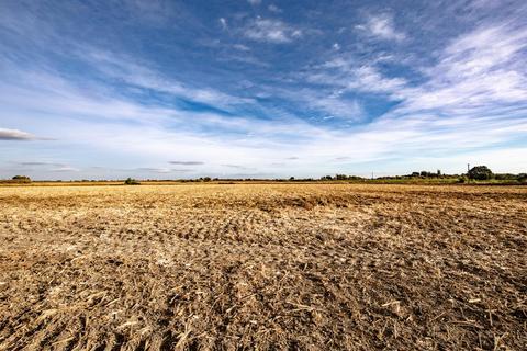 15687 Isleton Rd, Isleton, CA 95641 photo 40
