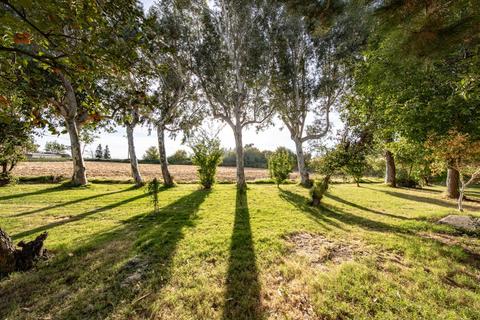 15687 Isleton Rd, Isleton, CA 95641 photo 9