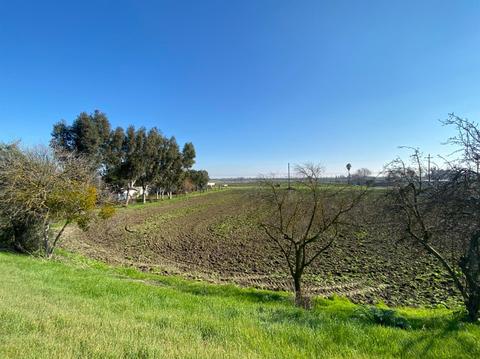 15687 Isleton Rd, Isleton, CA 95641 photo 43