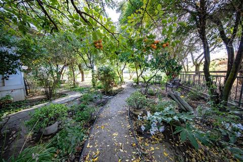 15687 Isleton Rd, Isleton, CA 95641 photo 8