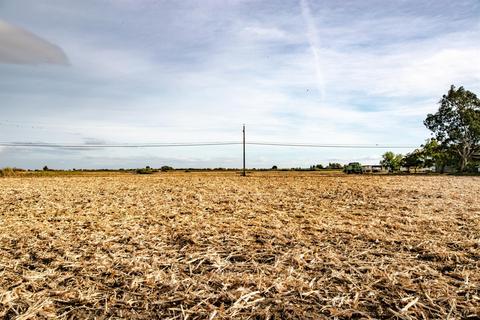15687 Isleton Rd, Isleton, CA 95641 photo 38
