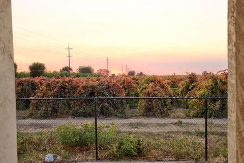 4649 W Peltier Rd, Lodi, CA 95242 photo 28