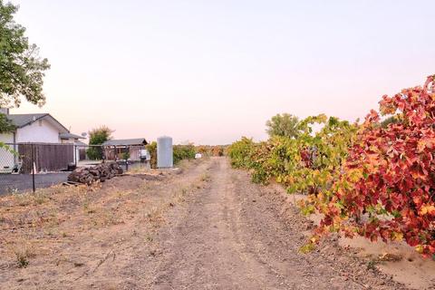 4649 W Peltier Rd, Lodi, CA 95242 photo 30
