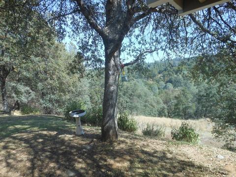 6041 Silver Ridge Ln, Placerville, CA 95667 photo 25