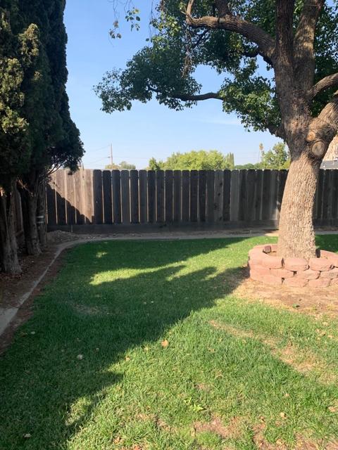 233 Martha St, Manteca, CA 95337 photo 29