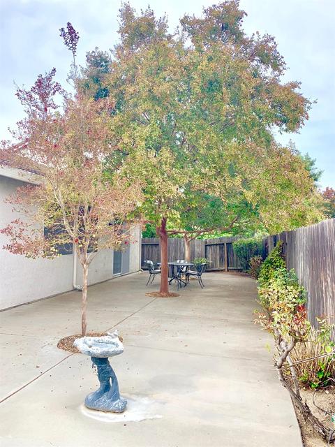 2216 Meadowbrook Dr, Lodi, CA 95242 photo 34