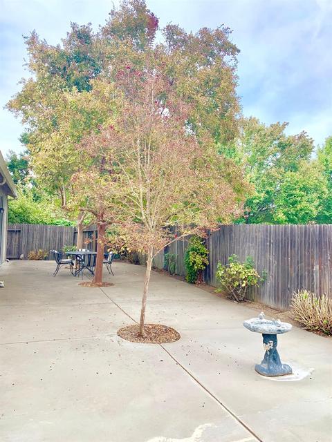2216 Meadowbrook Dr, Lodi, CA 95242 photo 33