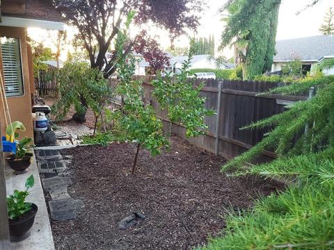 8154 Big Sky Dr, Antelope, CA 95843 photo 26