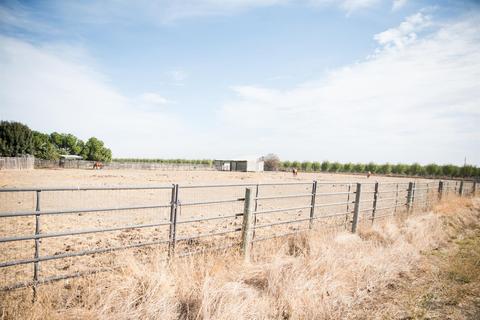 24450 County Road 15b, Capay, CA 95607 photo 49