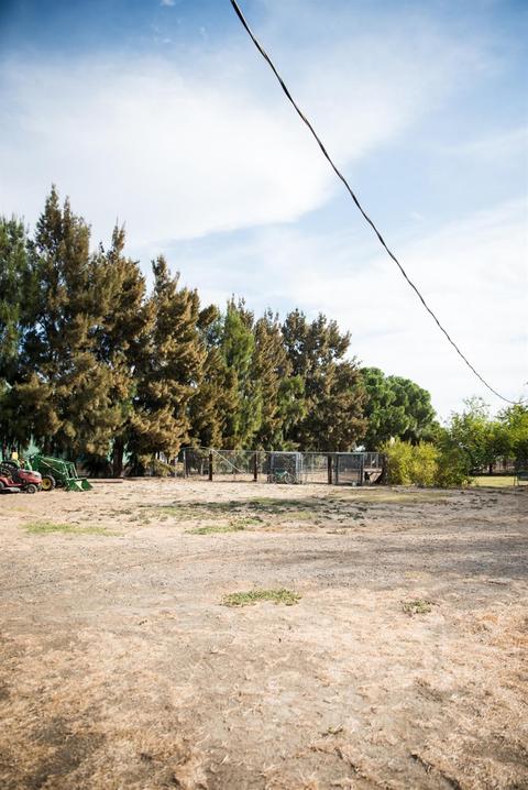 24450 County Road 15b, Capay, CA 95607 photo 43