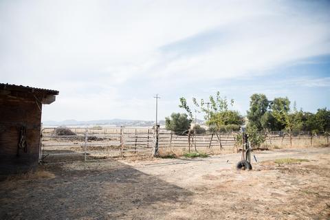 24450 County Road 15b, Capay, CA 95607 photo 46