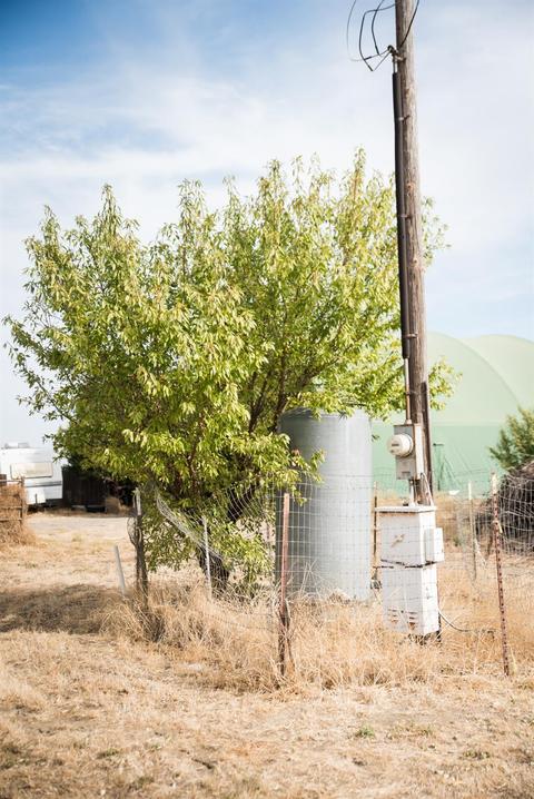 24450 County Road 15b, Capay, CA 95607 photo 38