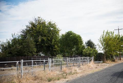 24450 County Road 15b, Capay, CA 95607 photo 30