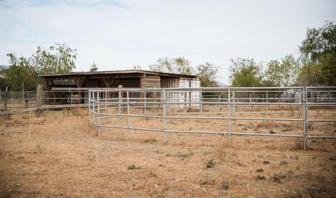 24450 County Road 15b, Capay, CA 95607 photo 50