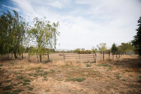 24450 County Road 15b, Capay, CA 95607 photo 54