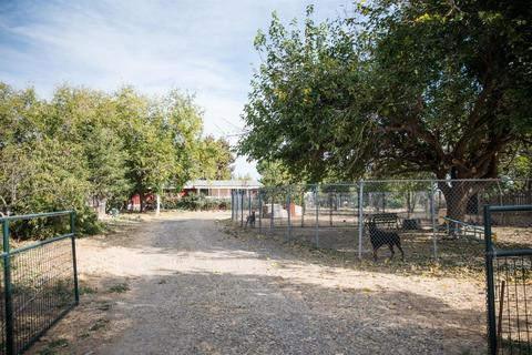 24450 County Road 15b, Capay, CA 95607 photo 48
