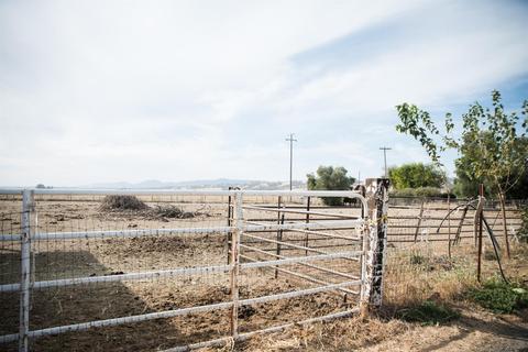 24450 County Road 15b, Capay, CA 95607 photo 41