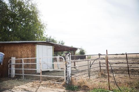 24450 County Road 15b, Capay, CA 95607 photo 42