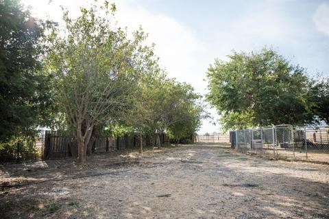 24450 County Road 15b, Capay, CA 95607 photo 37