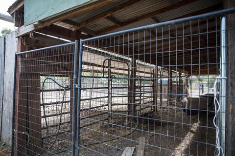 24450 County Road 15b, Capay, CA 95607 photo 55
