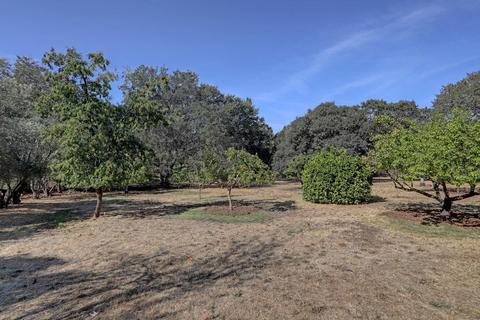 4229 Walnut Ave, Carmichael, CA 95608 photo 33