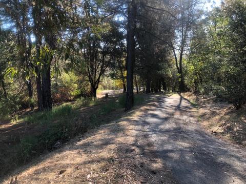 17495 Applegate Rd, Applegate, CA 95703 photo 17