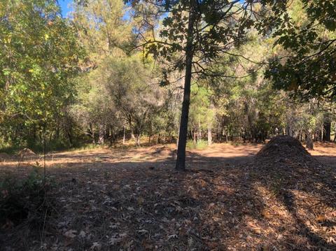 17495 Applegate Rd, Applegate, CA 95703 photo 18