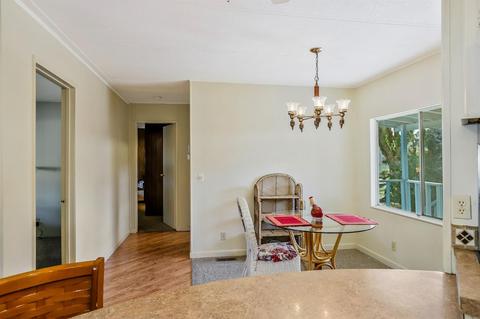 7 Silver Fox Ct, Lodi, CA 95242 photo 22