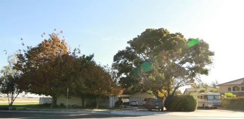 682 N Jack Tone Rd, Ripon, CA 95366 photo 1