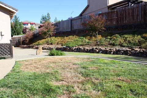 745 Alpine St, Jackson, CA 95642 photo 20
