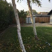 1600 Hialeah Dr, Modesto, CA 95350 photo 12