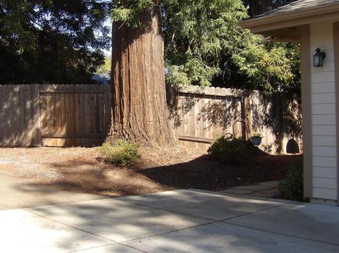 5958 Oak St, Loomis, CA 95650 photo 42