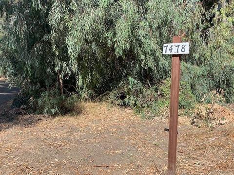 7478 Eucalyptus Rd, Zamora, CA 95698 photo 13