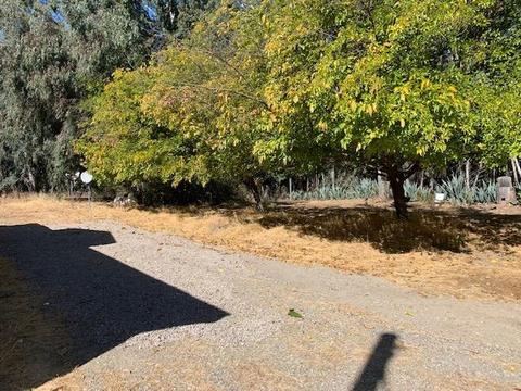 7478 Eucalyptus Rd, Zamora, CA 95698 photo 12