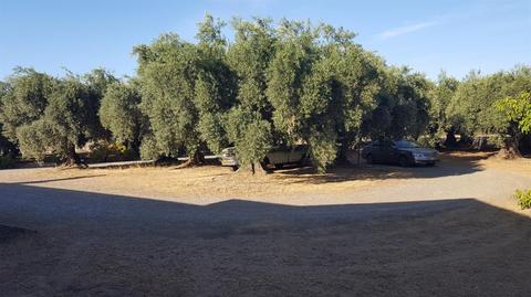 4859 Barham Ave, Corning, CA 96021 photo 52