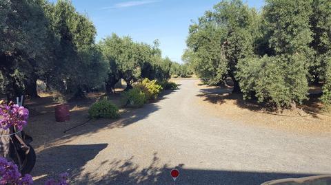 4859 Barham Ave, Corning, CA 96021 photo 4